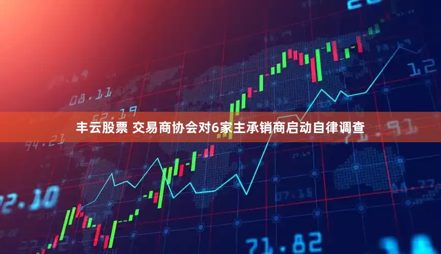丰云股票 交易商协会对6家主承销商启动自律调查