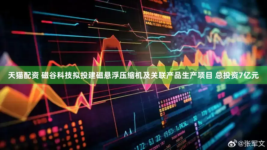 天猫配资 磁谷科技拟投建磁悬浮压缩机及关联产品生产项目 总投资7亿元