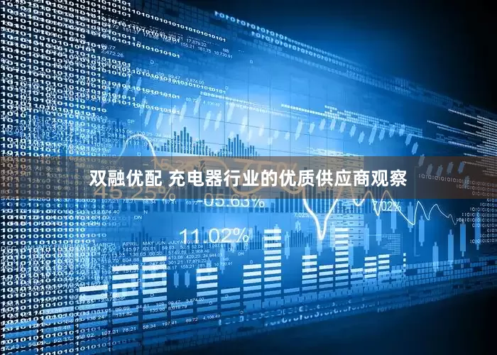 双融优配 充电器行业的优质供应商观察