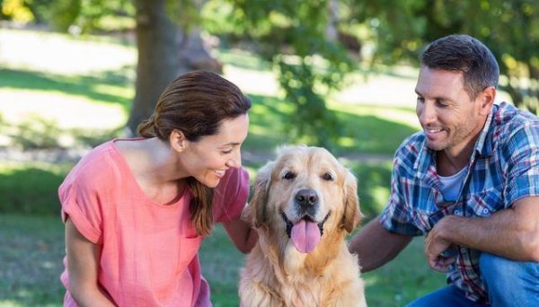 长胜证券 宠物的心理健康问题有哪些需要关注和解决的？