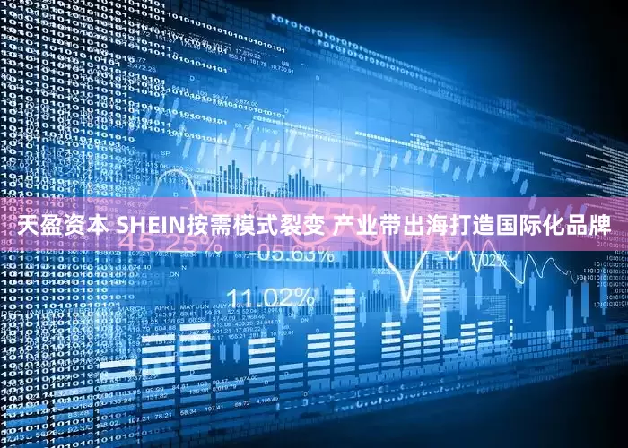 天盈资本 SHEIN按需模式裂变 产业带出海打造国际化品牌